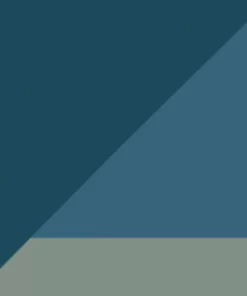 Destinyshop.shop7617526005955DDAE 15