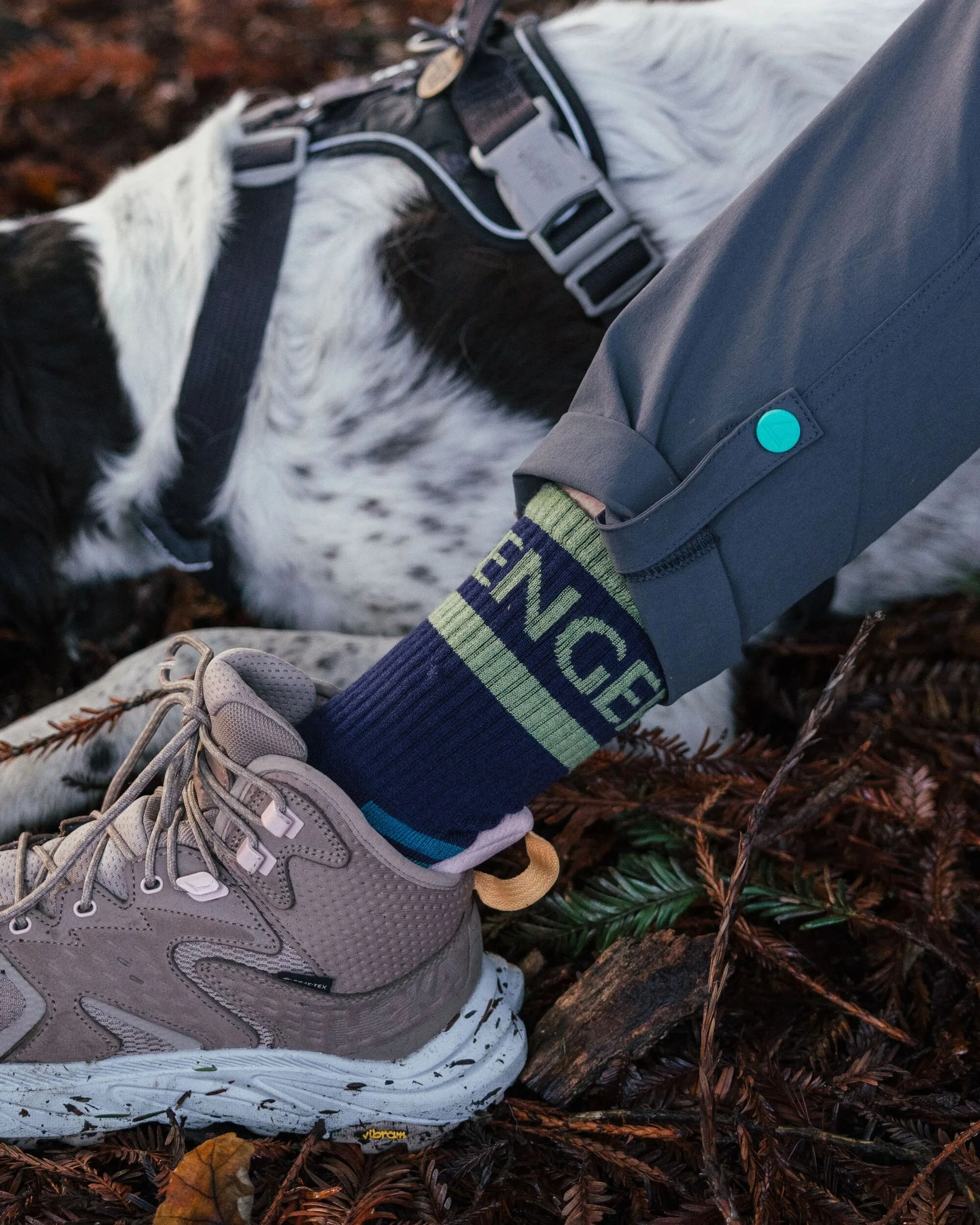 Destinyshop.shop7722095673539RBMH 4