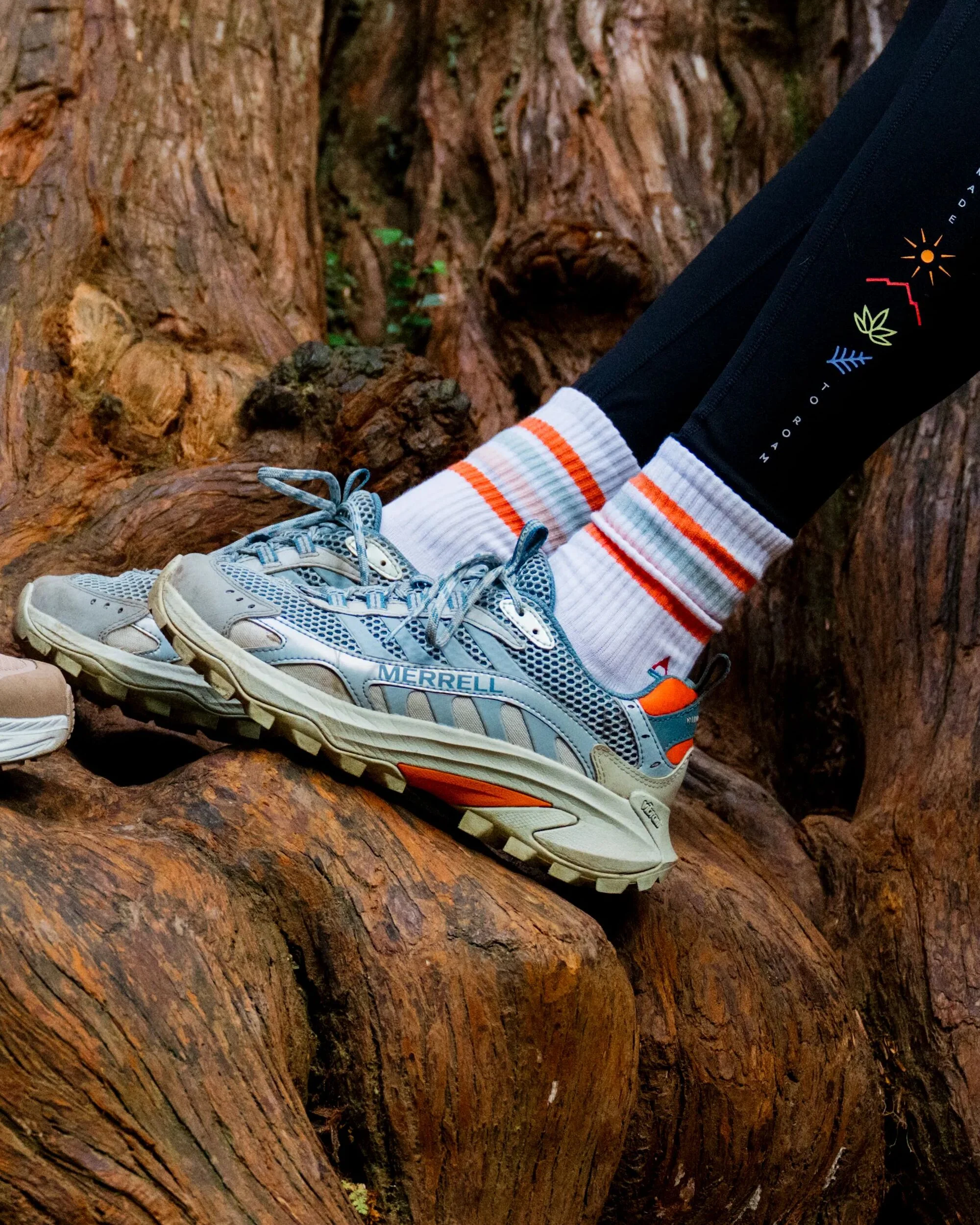 Destinyshop.shop7953453973699HHAX 2