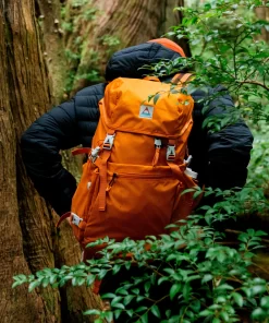 Destinyshop.shop7953542152387DMEZ 5