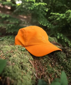 Destinyshop.shop8046707409091FAXZ 4